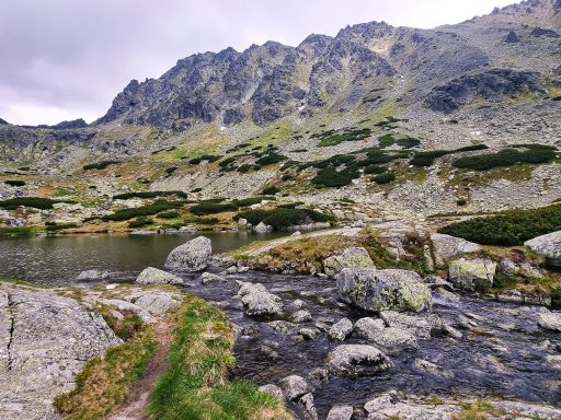 grau, regnerisch
