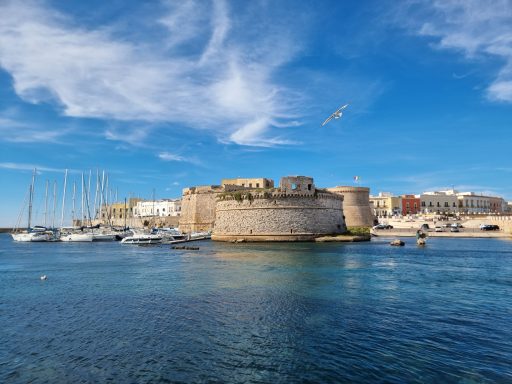 Gallipoli
